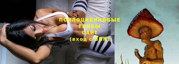 дживик Алексин