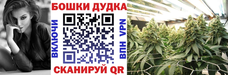 Каннабис планчик Нягань